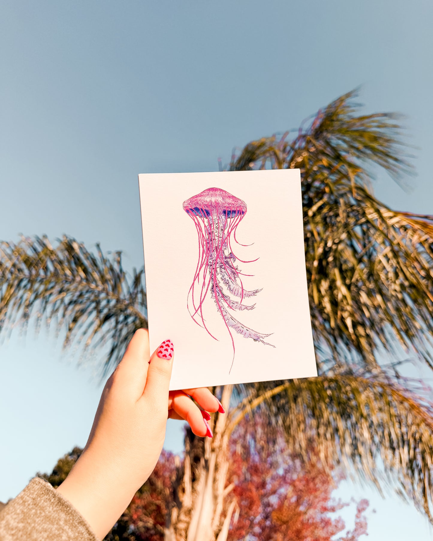 Drifting Jellyfish - 5x7 Print
